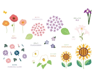 夏の花
